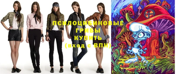 гашик Баксан