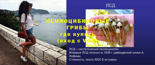 гашик Баксан