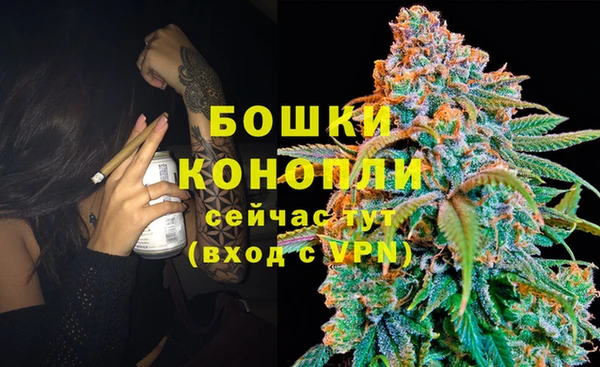 альфа пвп Медвежьегорск